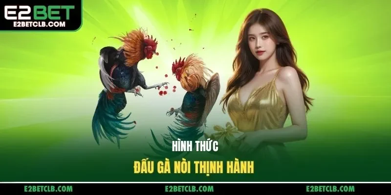 Hình thức đấu gà nòi thịnh hành