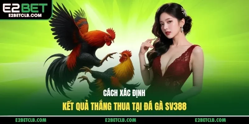 Cách xác định kết quả thắng thua tại đá gà SV388